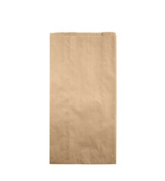 FSC® Kraft bag with side gussets L